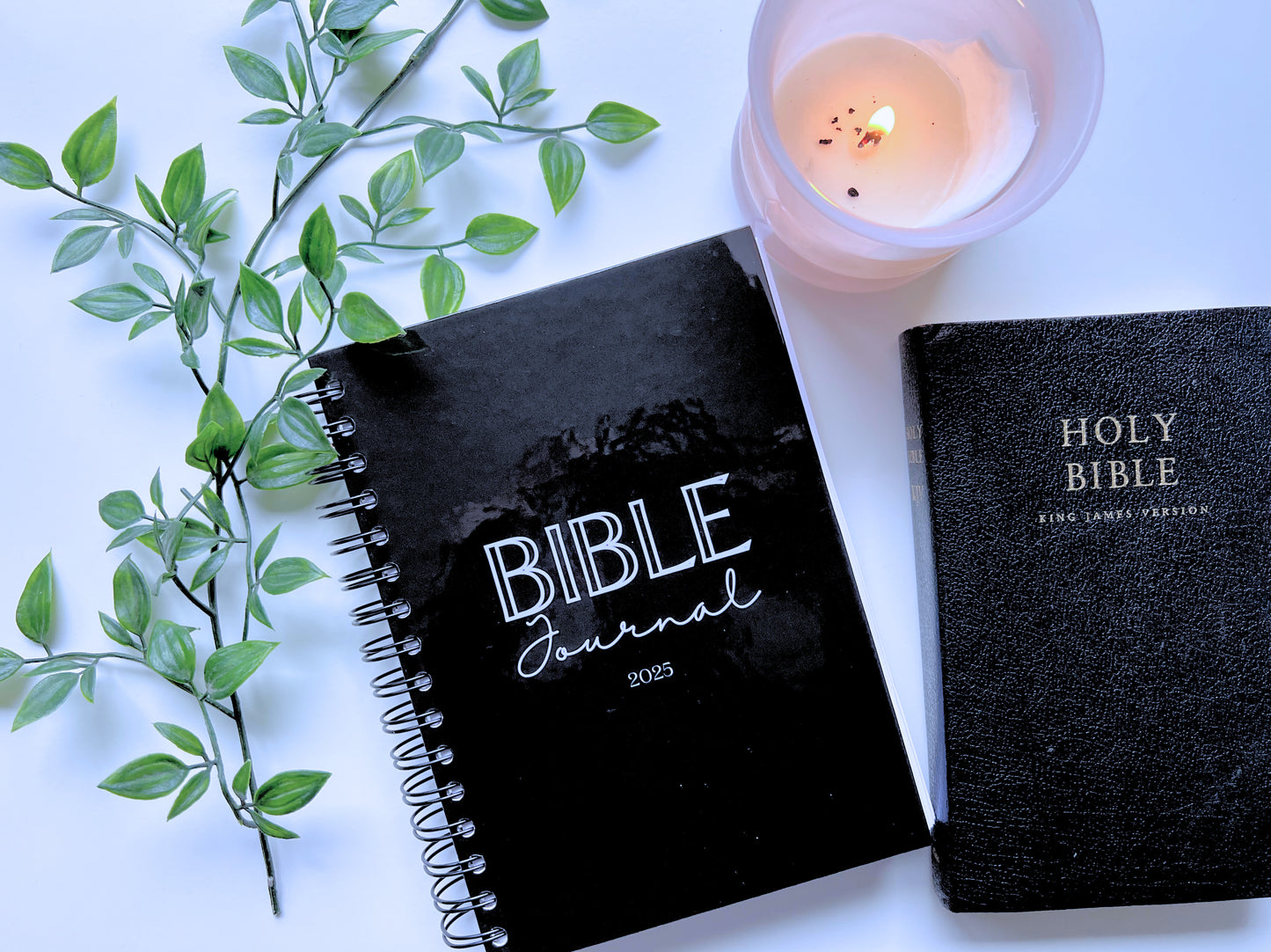 SO BIBLE JOURNAL 2025