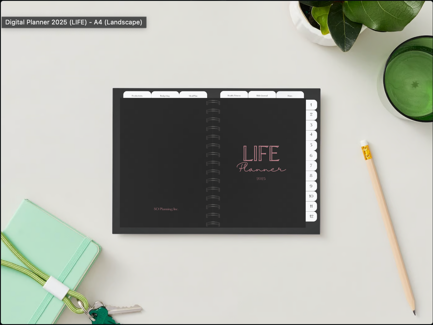 SO LIFE PLANNER 2025 (DIGITAL PLANNER)