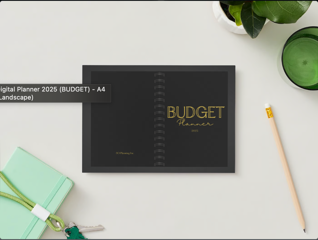 SO BUDGET PLANNER 2025 (DIGITAL PLANNER)