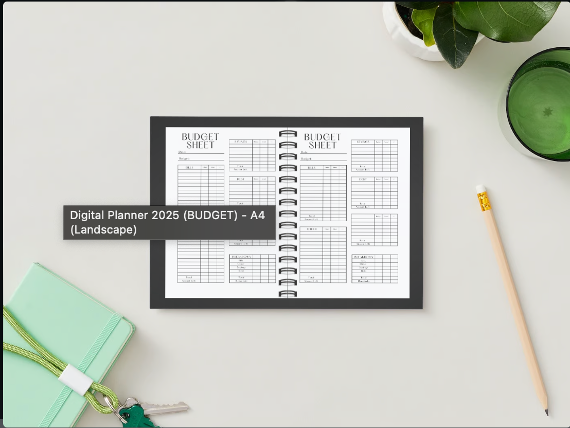 SO BUDGET PLANNER 2025 (DIGITAL PLANNER)