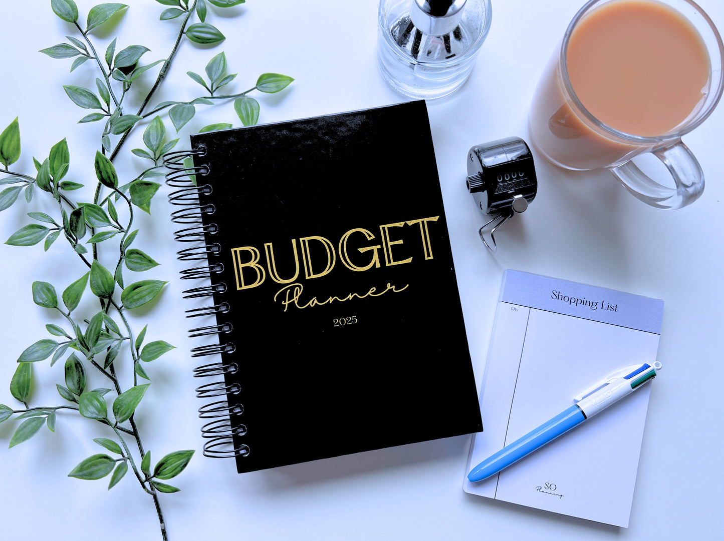 SO BUDGET PLANNER 2025