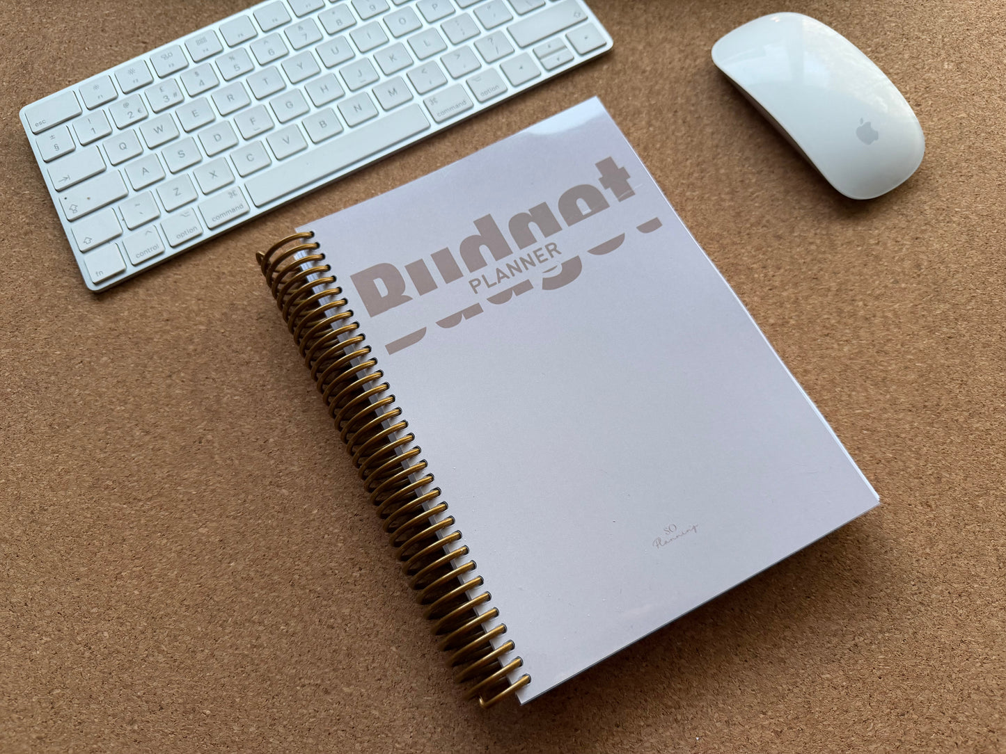 2026 Budget Planner